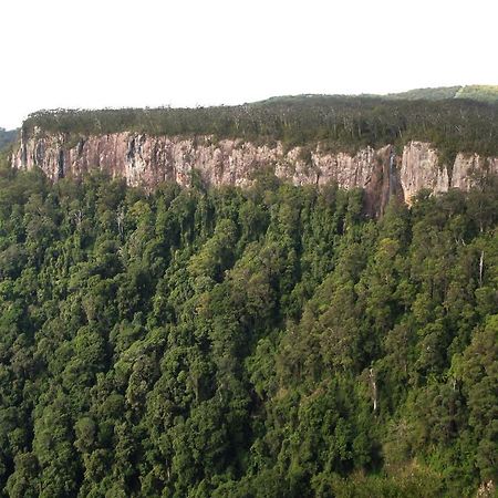Springbrook Lyrebird Retreat Villa Dış mekan fotoğraf