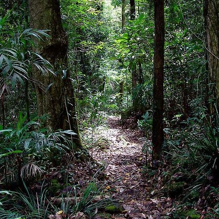 Springbrook Lyrebird Retreat Villa Dış mekan fotoğraf