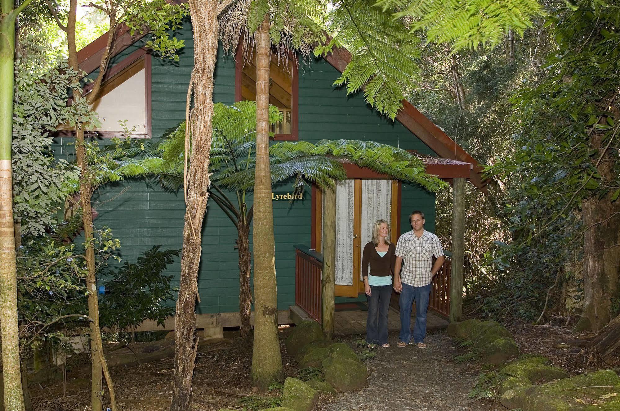 Springbrook Lyrebird Retreat Villa Dış mekan fotoğraf
