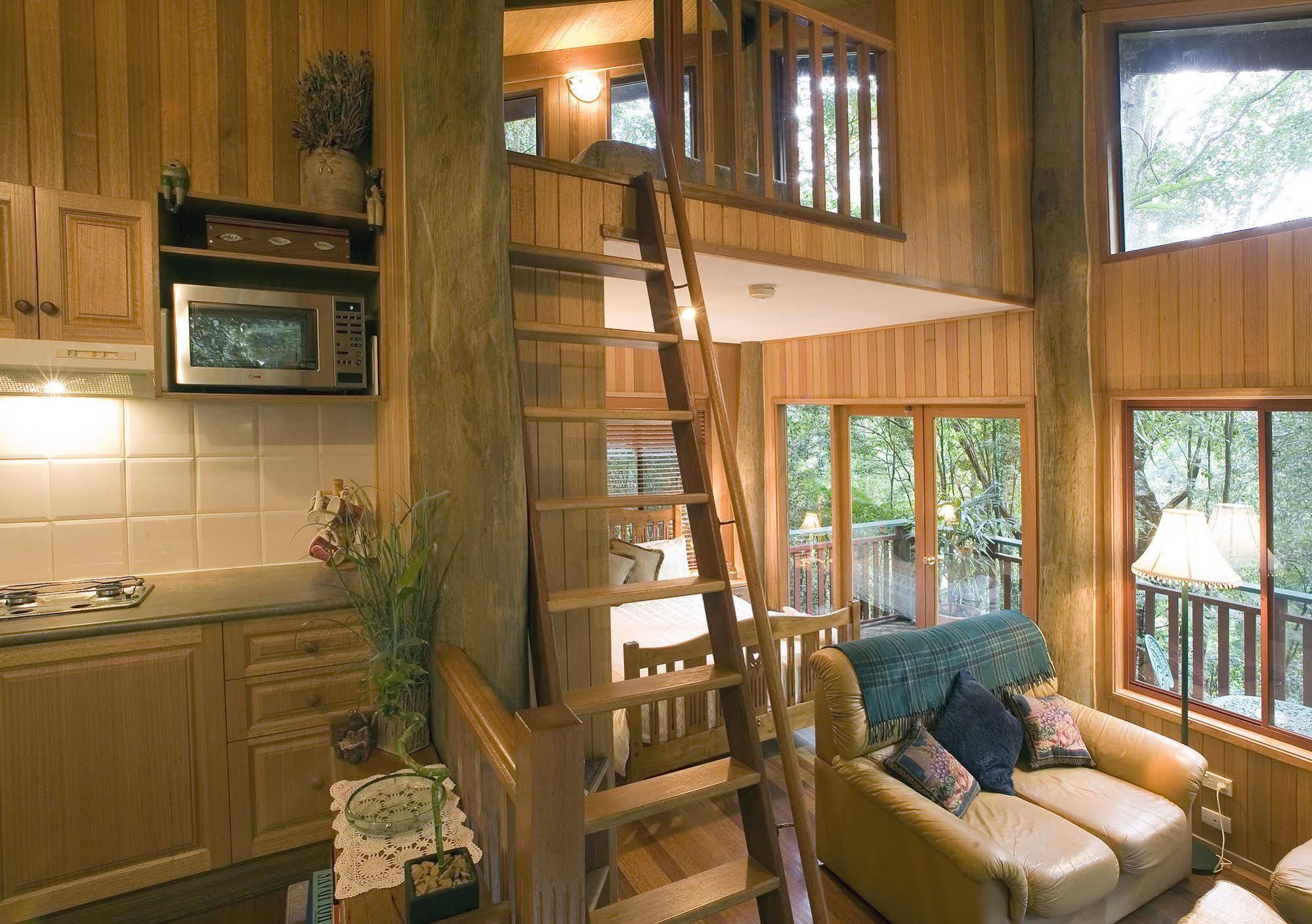 Springbrook Lyrebird Retreat Villa Dış mekan fotoğraf