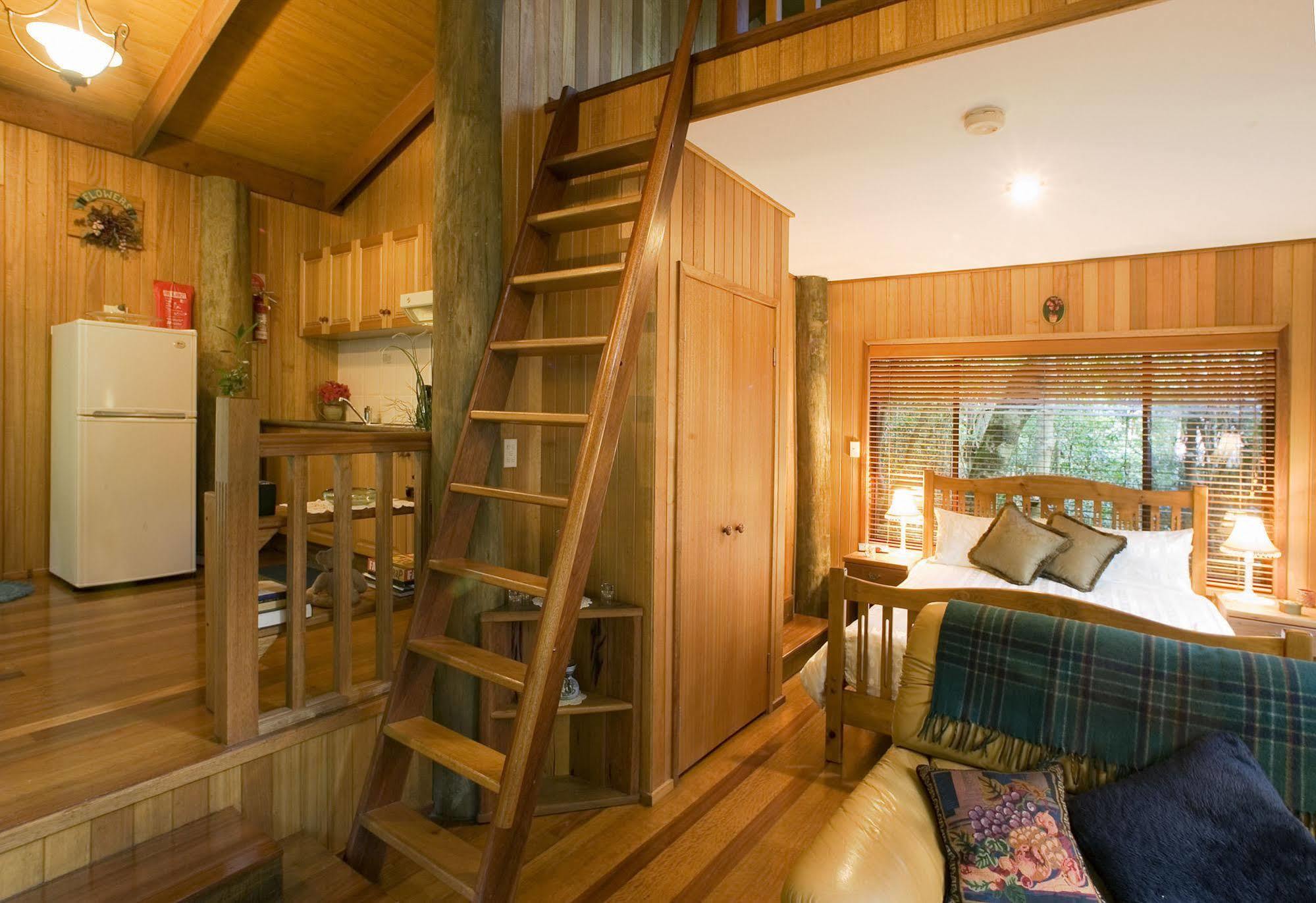 Springbrook Lyrebird Retreat Villa Dış mekan fotoğraf