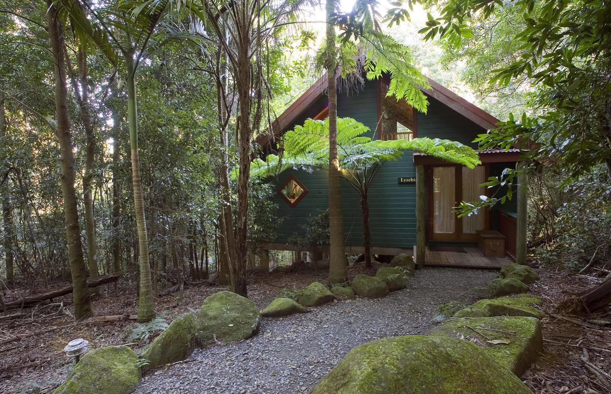 Springbrook Lyrebird Retreat Villa Dış mekan fotoğraf