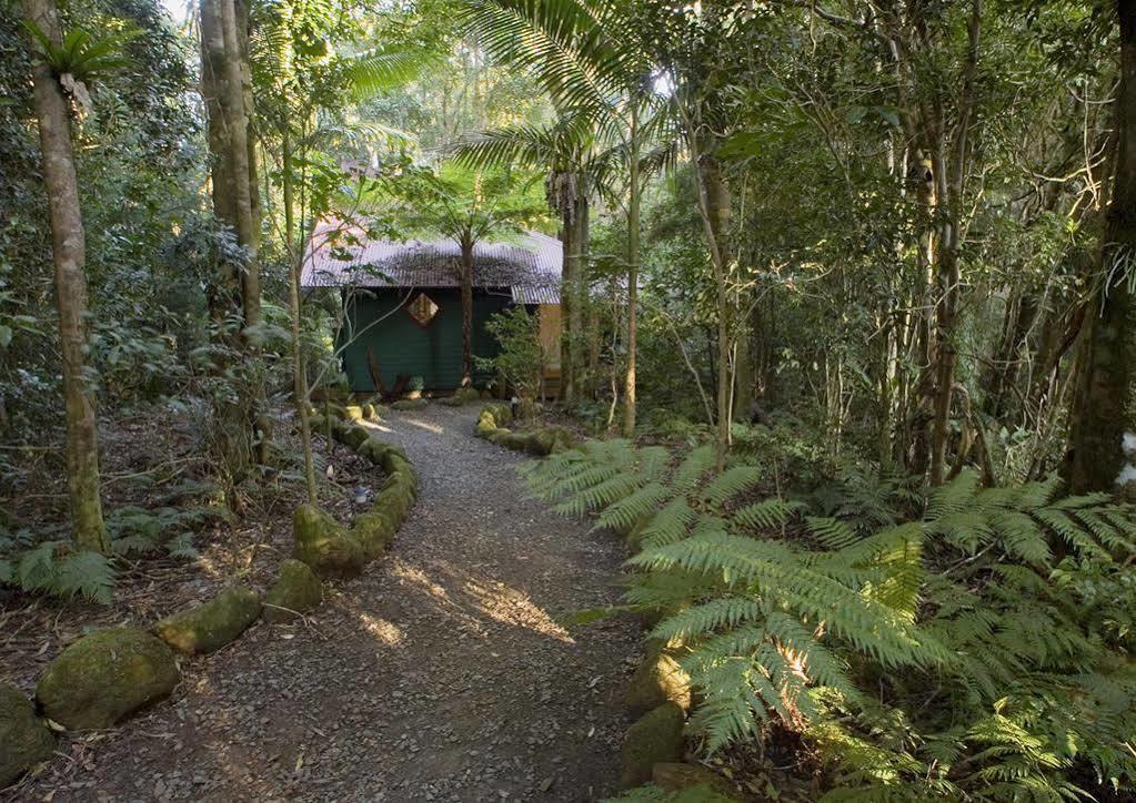 Springbrook Lyrebird Retreat Villa Dış mekan fotoğraf