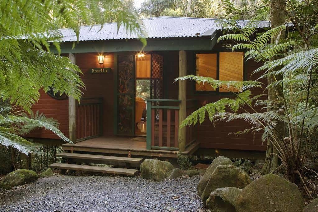 Springbrook Lyrebird Retreat Villa Dış mekan fotoğraf