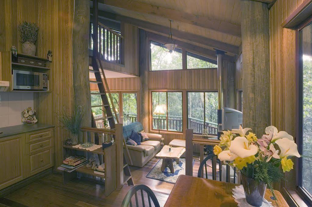 Springbrook Lyrebird Retreat Villa Dış mekan fotoğraf